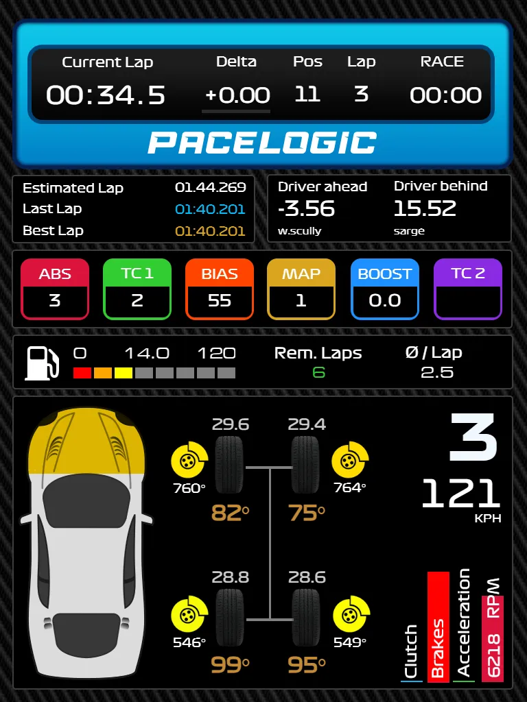 Race Assist Portrait